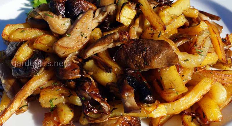Рецепт вкусной картошки с грибами! 