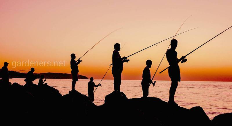 Що потрібно знати про риболовлю на новому водоймищі