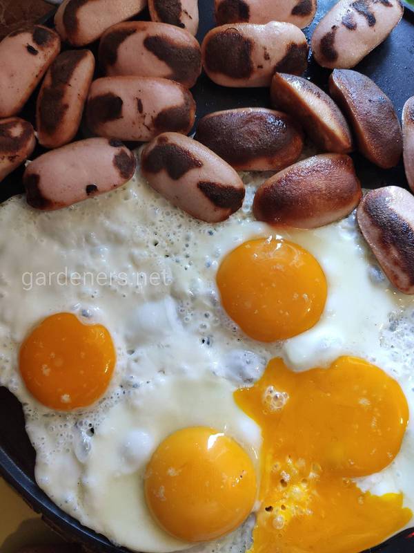 Готовим завтрак из яиц и сосисок