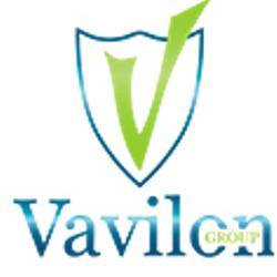 Компания «Vavilon-V»