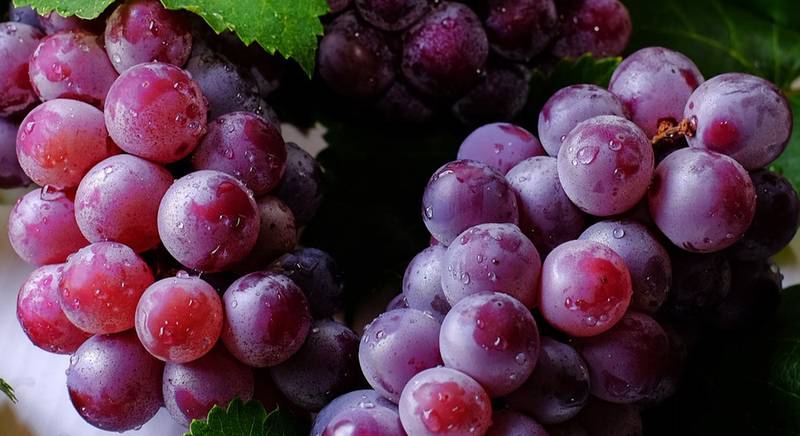 Чим корисний виноград?