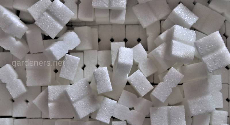 Какими натуральными веществами можно заменить сахар