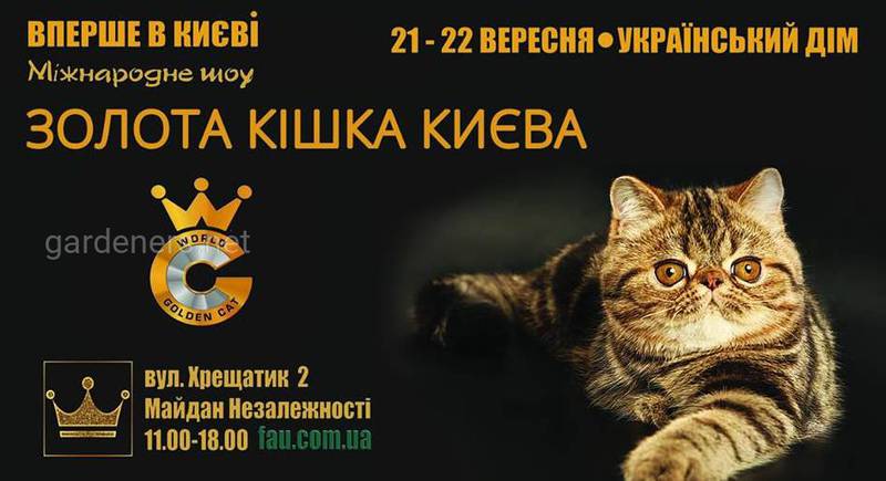 Золота Кішка Києва