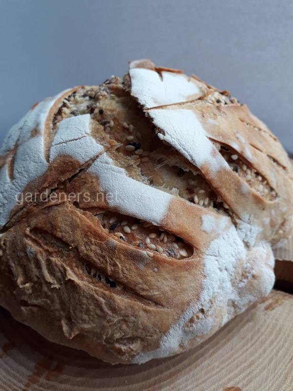 Хліб як основа ваших кулінарних шедеврів