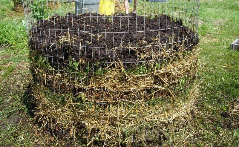 Сад и огород