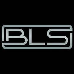 Компания “BLS”