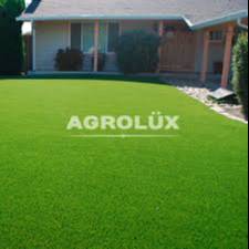 Семена газонных трав - Агролюкс 