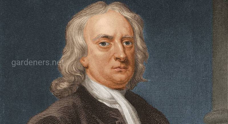10 интересных фактов о Ньютоне
