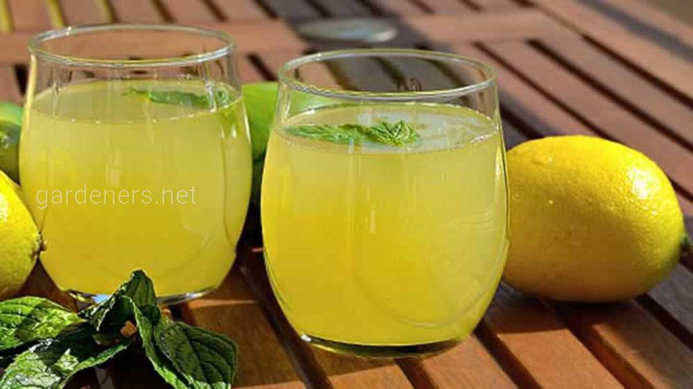 Турецький лимонад