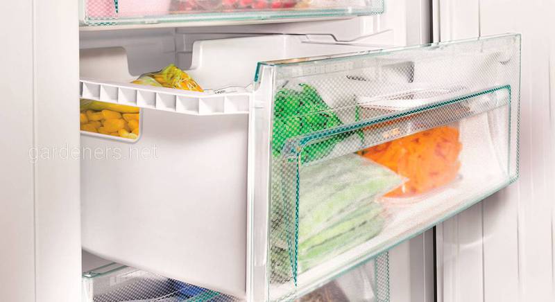 ТОП-10 продуктів, які не можна заморожувати в морозильній камері