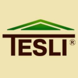 Компания «Tesli»