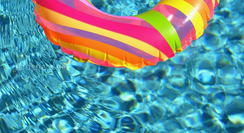 ТОП-5 видів басейнів для дачі: як вибрати вдалий варіант
