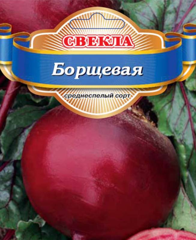 Свекла (буряк)