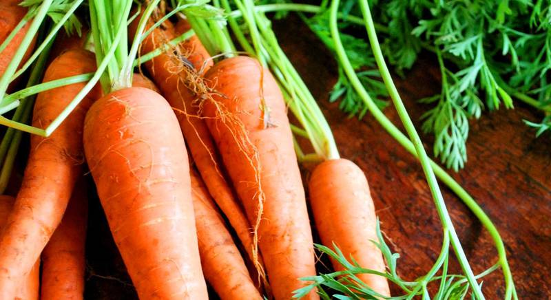 История морковки. Интересные факты про морковь 