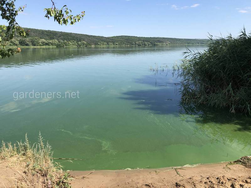 Река Оскол - приток Северского Донца