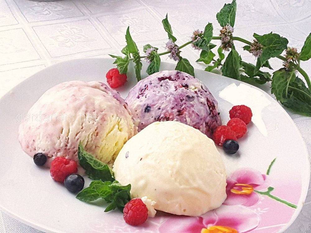 Фруктово-сливочное мороженое