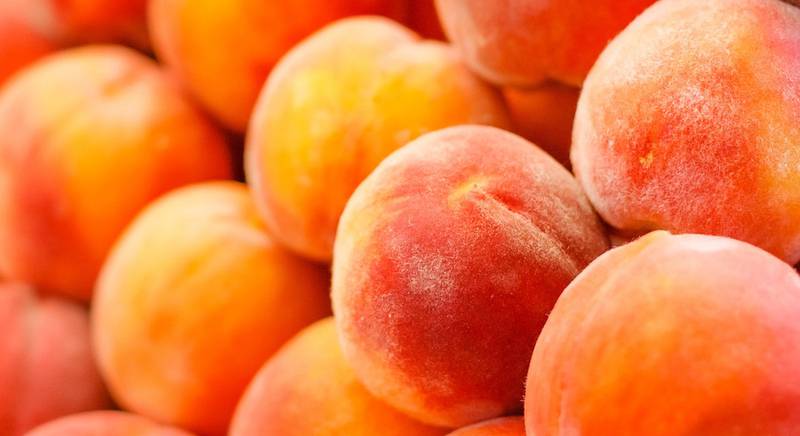 Как правильно собирать и хранить персики?
