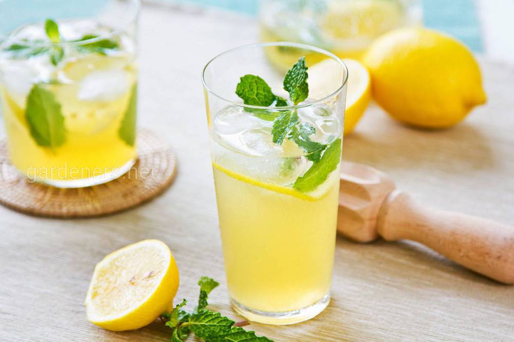 Лимонада из лимона