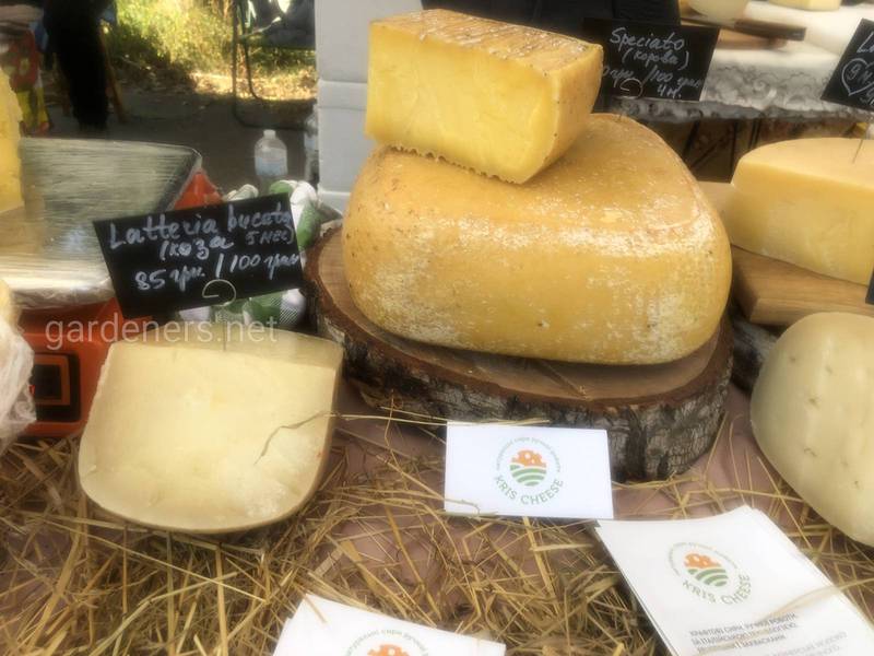 Вкусный сыр в Германии! 