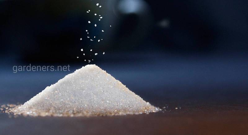 Якими натуральними речовинами можна замінити цукор