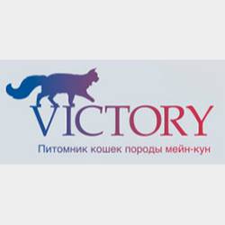 Питомник кошек «Victory»