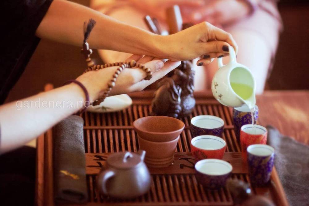 Традиции чаепития в Японии