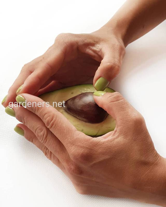 Рецепт сніданку яєчня з авокадо 