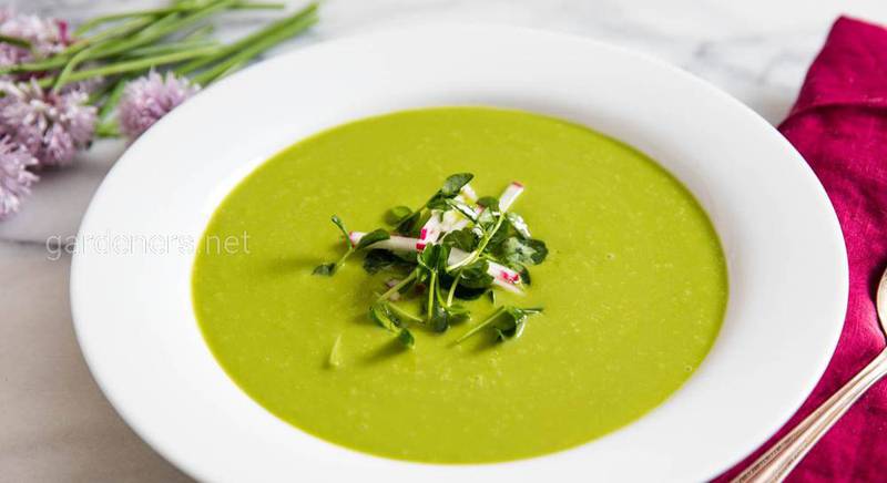 Овощной крем-суп из цветной капусты со сливками. Рецепт