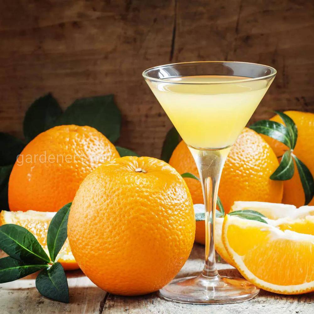 Алкоголь з апельсинів