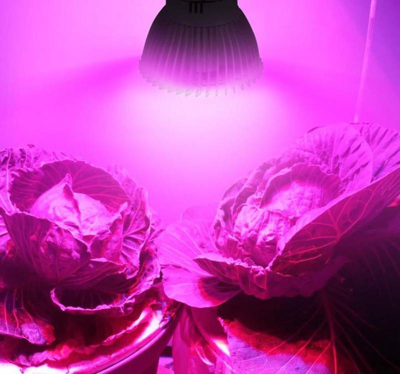 Загородная жизнь