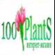 Интернет-магазин комнатных растений "100plants"