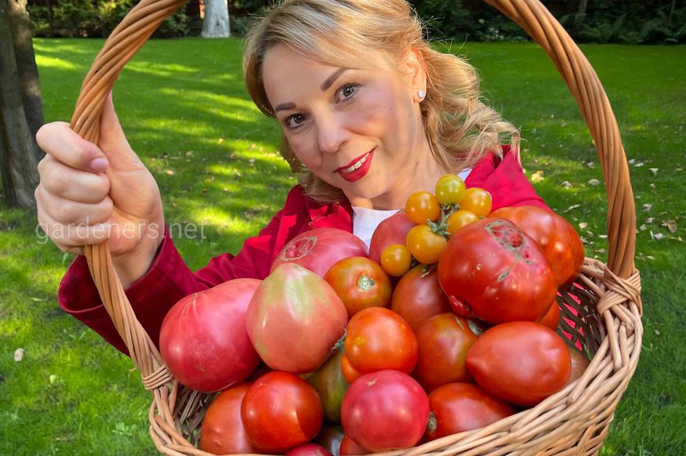 Оксана Станкевич с томатами