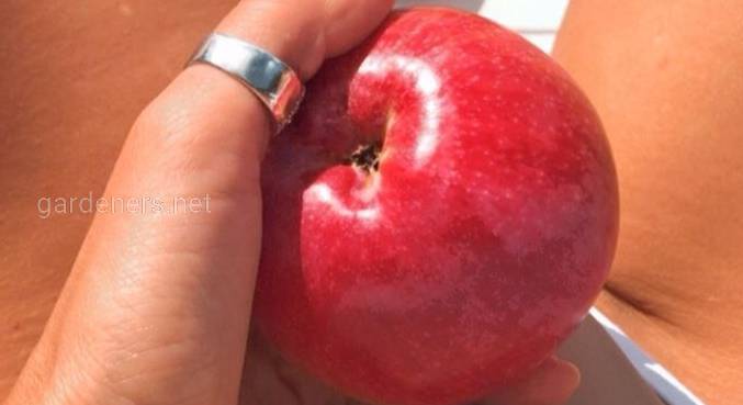 10 причин почему нужно кушать яблоки ежедневно 