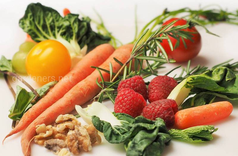 Поживні речовини у складі моркви