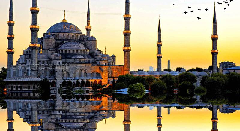 14 цікавих фактів про Туреччину