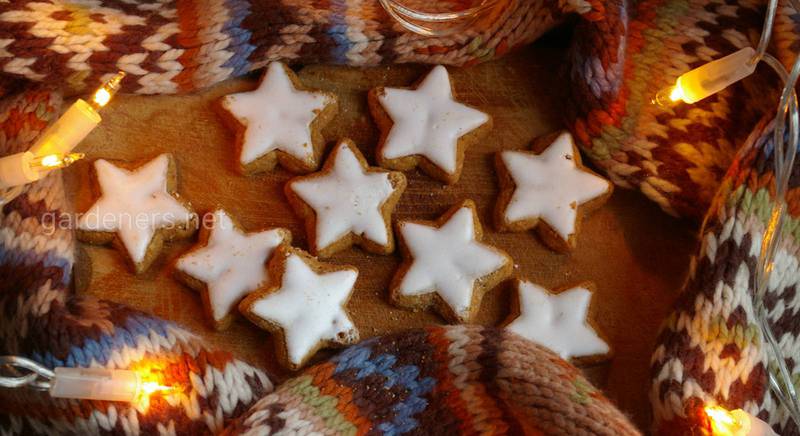 Рождественская выпечка Германии: как готовить шттолен, лебкухены и звездочки с корицей