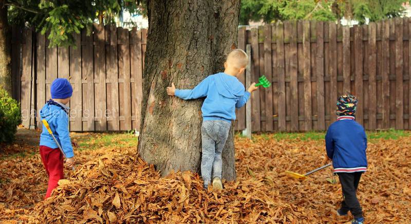 Топ забав для детей в саду осенью: популярные игры и увлекательные развлечения
