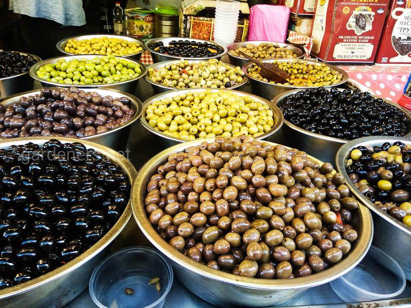 Чи існує різниця між маслинами й оливками?
