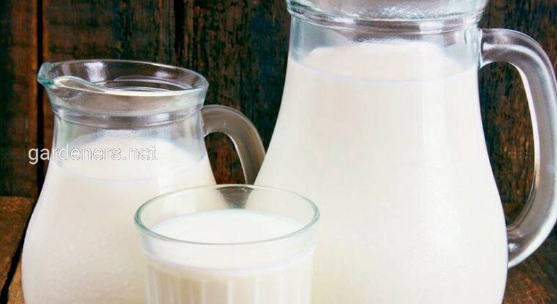 Молоко козье 1 литра