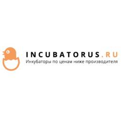Интернет-магазин «Incubatorus»