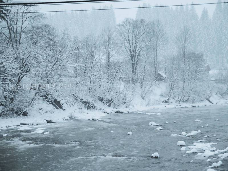 Загородная жизнь