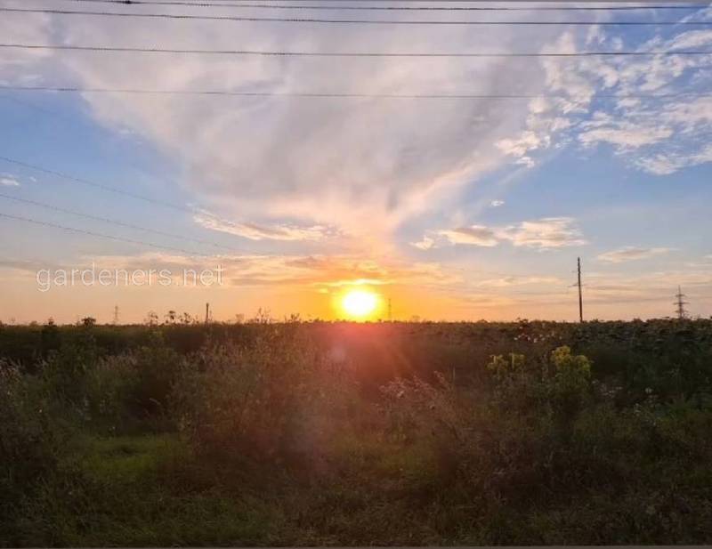 Загородная жизнь