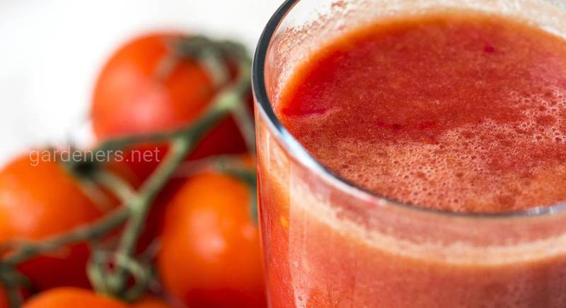 ТОП-5 популярных рецептов сока из помидор