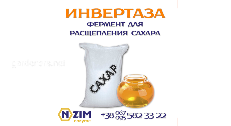 Инвертаза ENZIM - Фермент для расщепления сахара