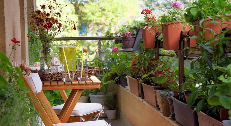 Як створити власний сад на балконі або терасі