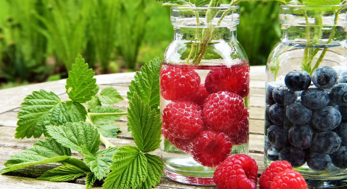 Настойка на ягодах. Рецепты ягодных спиртовых напитков | Огородники