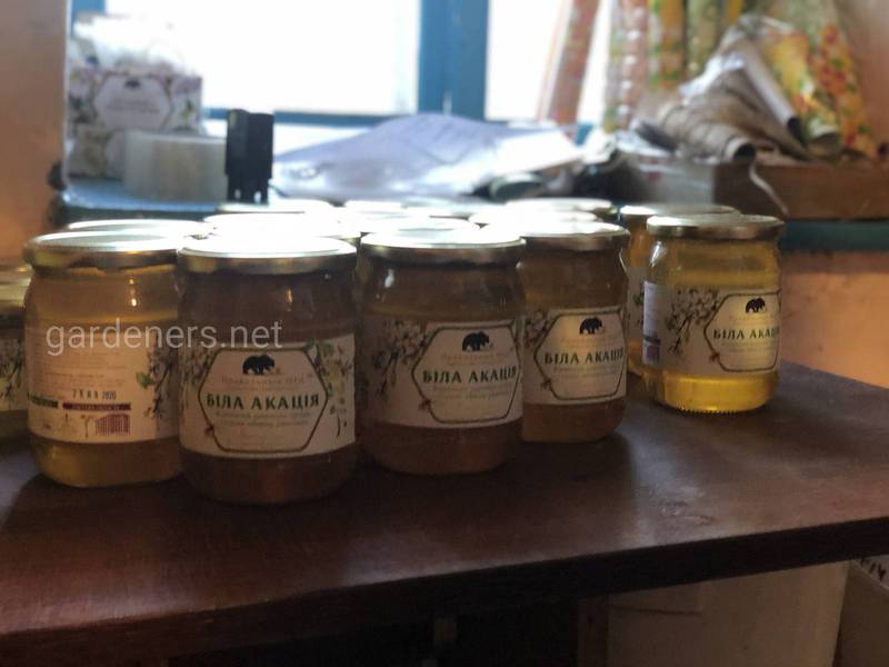 Как правильно хранить мед и в каких случаях он может быть токсичным?