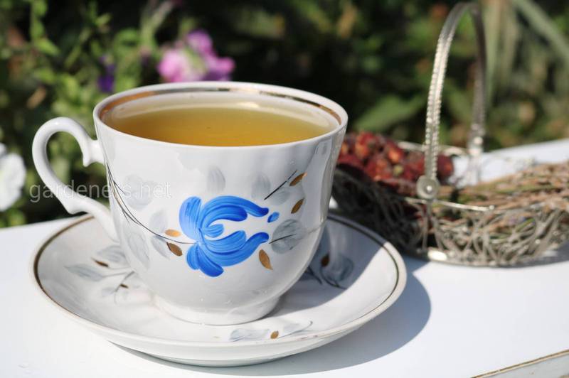 6 протизапальних чаїв, створених для холодних днів
