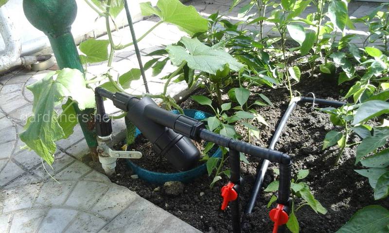 Инструменты, садовый инвентарь