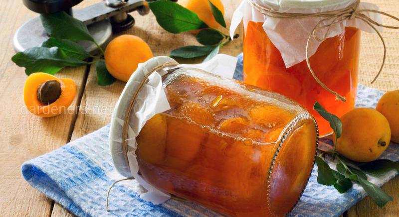 Кілька незвичайних рецептів консервації абрикосів у сиропі